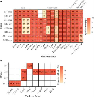 Comparative genome analyses of clinical and non-clinical Clostridioides difficile strains